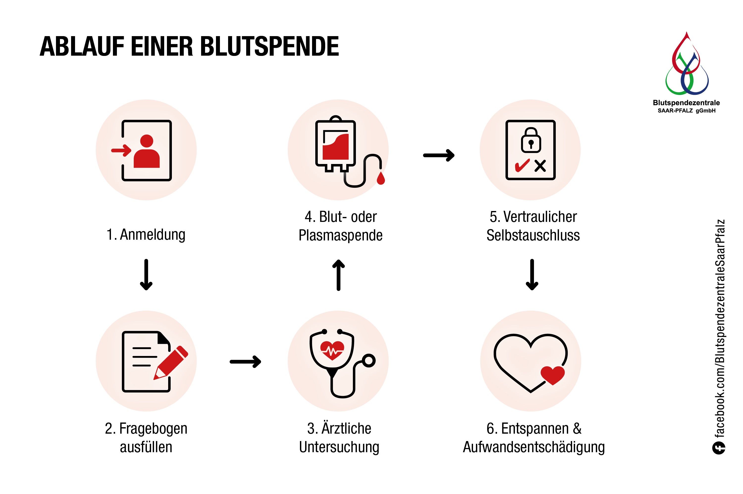 Ablauf einer Blutspende in Icons dargestellt